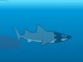 Игра Medieval Shark