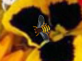 Игра Hidden Bee