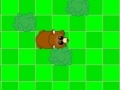 Игра Bear IQ