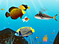Игра Water World