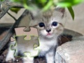 Игра Jigsaw: Happy Kitty