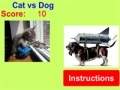 Игра Cat vs Dog!