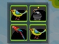 Игра Bomb Memory-Birds