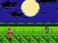 Игра Ninja Gaiden