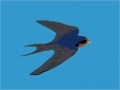 Игра Swallow catcher