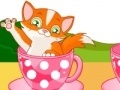 Игра Cat in Cup