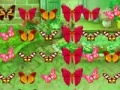 Игра Butterfly Match