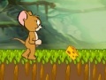 Игра Tom and Jerry : Cheese Land