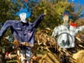 Игра Scarecrow