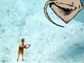 Игра Stingray Hunter