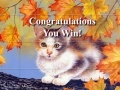 Игра Art Kittens Puzzles 2