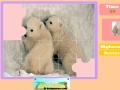 Игра Twin Polar Bear
