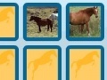 Игра Memory with horses