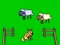 Игра Sheep!