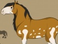 Игра Create Horse