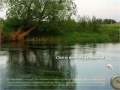 Ігра Fishing: Hunting for Trophy