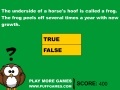 Игра Useless Animal Facts