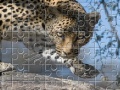 Игра Leopard Jigsaw Puzzle