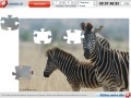 Игра Zebras Jigsaw