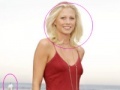 Игра Sexy Celebrity Photo Hunt
