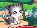 Ігра Doc Mcstuffins: stray kitten caring