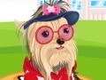 Игра Pet Dressup 5