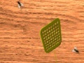 Игра Fly Swatter