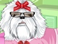 Игра Lovely Puppy Dress Up