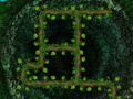 Игра Root Your Way