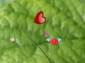 Игра Hidden Nature Hearts