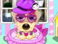 Игра Pampered Dog Salon