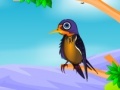 Игра Feed the Bjrds