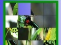 Игра Green butterfly slide puzzle