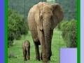 Игра Mother and tiny elephant slide puzzle