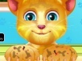 Игра Talking Ginger Paw Caring