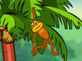 Игра Spider Monkey