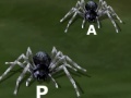 Игра Tarantuloid Typing Terror