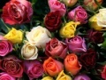 Игра Valentines Day