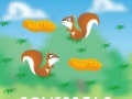 Игра Squirrels