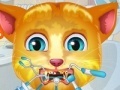 Игра Talking Ginger. Tooth problems
