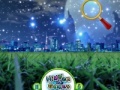 Игра Hidden Stars Night Beauty