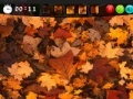 Игра Autumn Hidden Images