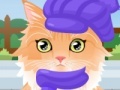 Игра Kitty Groomer