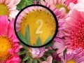 Игра Flowers 3 Hidden Numbers