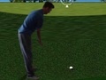 Игра Flash Golf 3D