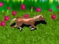 Игра Horse on the Loose