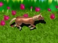 Игра Horse on the Loose