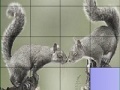 Игра Squirrels in love