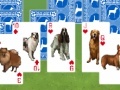 Игра Best in show: Solitaire