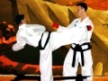 Игра Tae Kwon-Do Competition